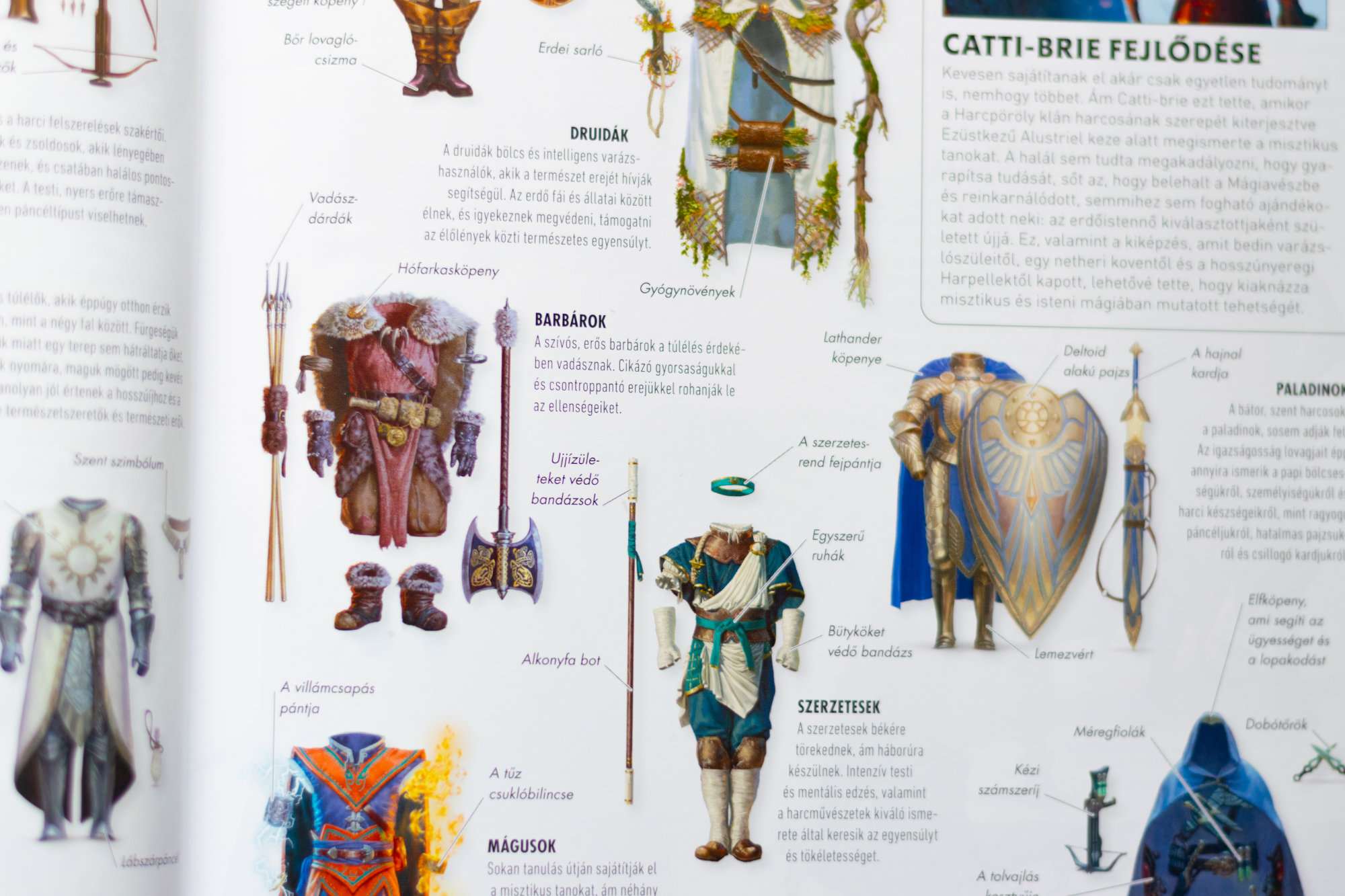 A Képes útmutató a D&D kasztjaival kapcsolatban is rengeteg információt tartalmaz.